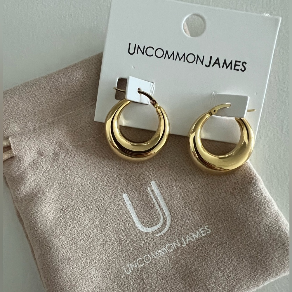 Uncommon James Rare Hoop Earrings